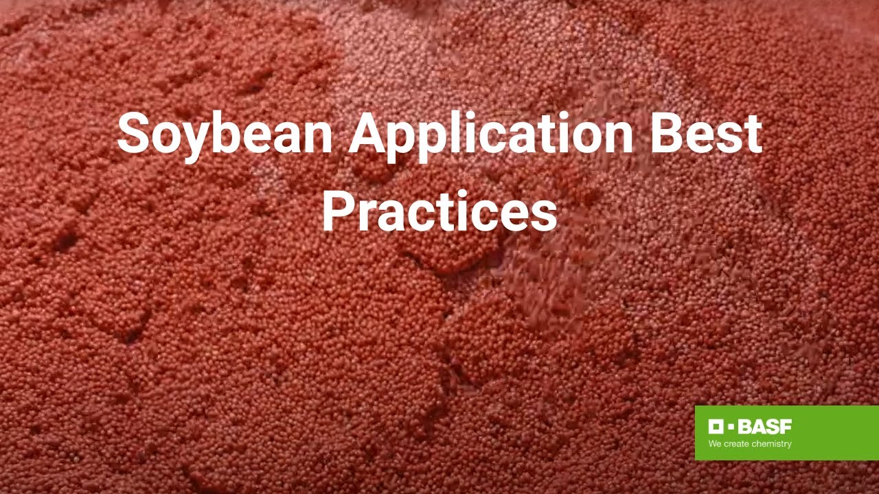 Online Cricket ID Guide: Benefits, Security & How to Get Yours